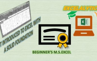 BEGINNER’S FOUNDATION LEVEL EXCEL