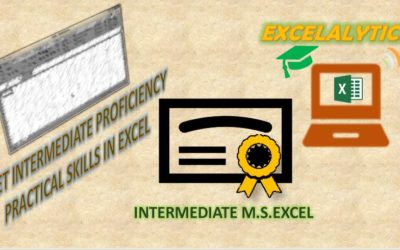 INTERMEDIATE PROFICIENCY LEVEL EXCEL